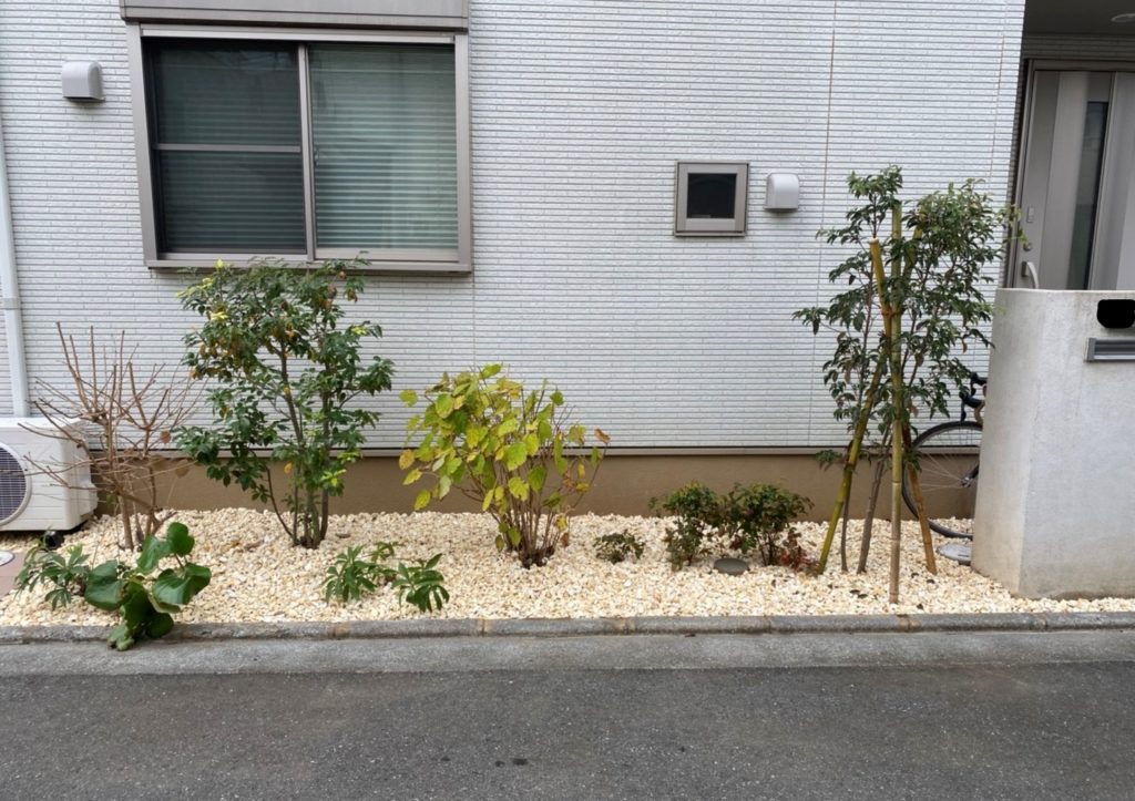 玄関前植栽と花壇作り 立川市S様邸｜八王子の造園・植木・庭のお手入れ｜株式会社ワールドグリーン